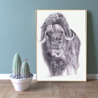 A3 Plakater